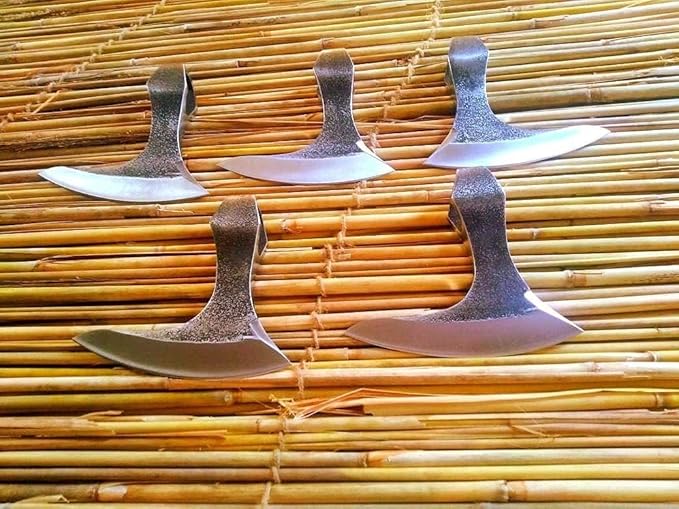 WHS101-6'' Inch Lot of 5 x Viking Axe Head 5160 Custom High Carbon Steel Axe Head Only Tomahawk Hatchet Beared Camping Axe Blade Vintage Combat Ragnar Axe Blade (Ragnar Ax)