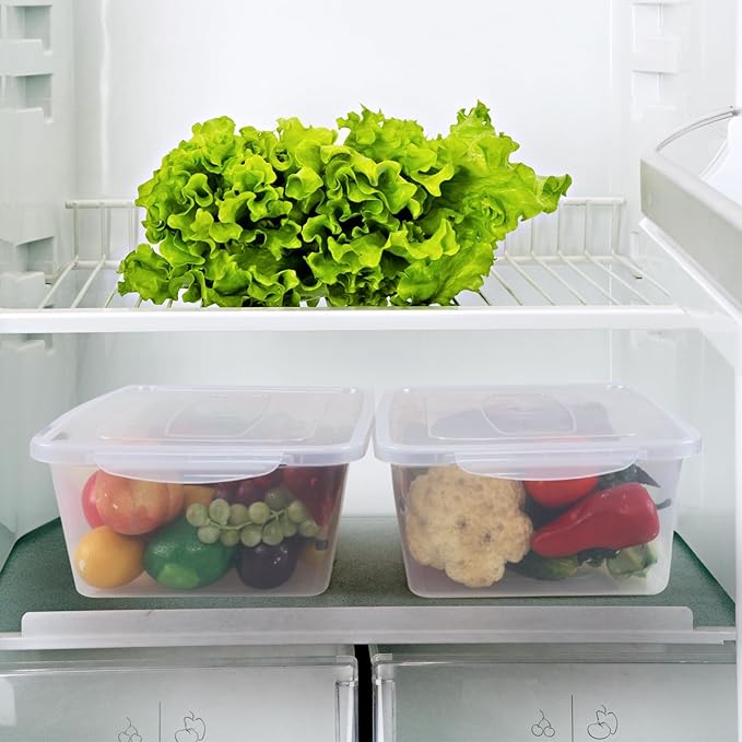 2 Packs Plastic Clear Storage Bins with Lid Latch Containers with Lid 16 L