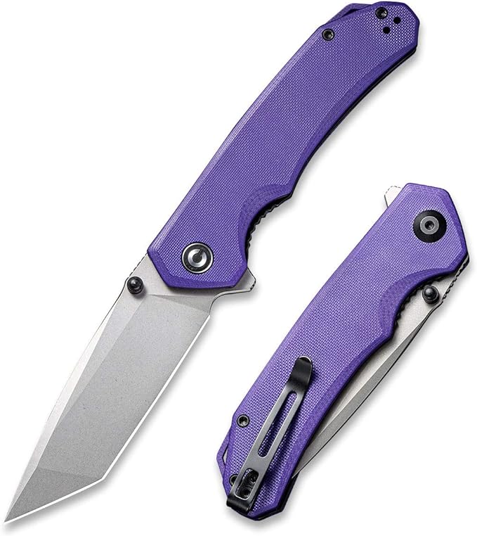 CIVIVI Brazen Folding Pocket Knife3.5-Inch Tanto D2 Plain BladeG-10 Outdoor Camping Hiking Knife with Thumb Studs and Flipper openerUnique Tool Gift for EDC Men Women C2023A (Purple)