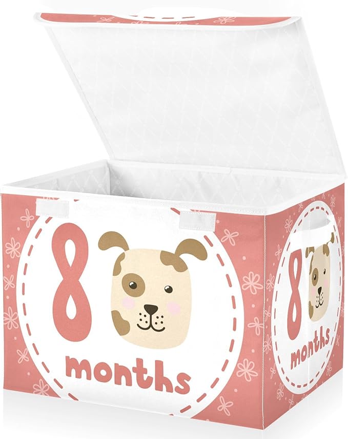 8_months Storage Bins with Lids Collapsible Shoebox Storage Large Storage Bins with Lids for Office Supplies Office