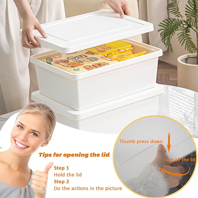 6gal+3gal high-end White multifunction storage box with lid Set of 4 Stackable Plastic Boxes with Handles Suitable for Garage and Home Storage Waterproof and Moisture-Proof （2XXL+2L