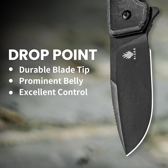 Kizer Nice Guy Pocket Folding Knife 2.84 Nitro V Blade Lightweight Sharp Camping and Hiking Knife Comfort Micarta Handle Liner Lock Flipper knives V3011A3