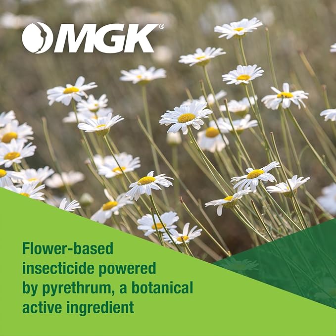 MGK EverGreen® Pyrethrum Concentrate | OMRI Listed for Organic Production | Pyrethrin Insecticide Spray | For Indoor or Outdoor Applications | 1 Gallon