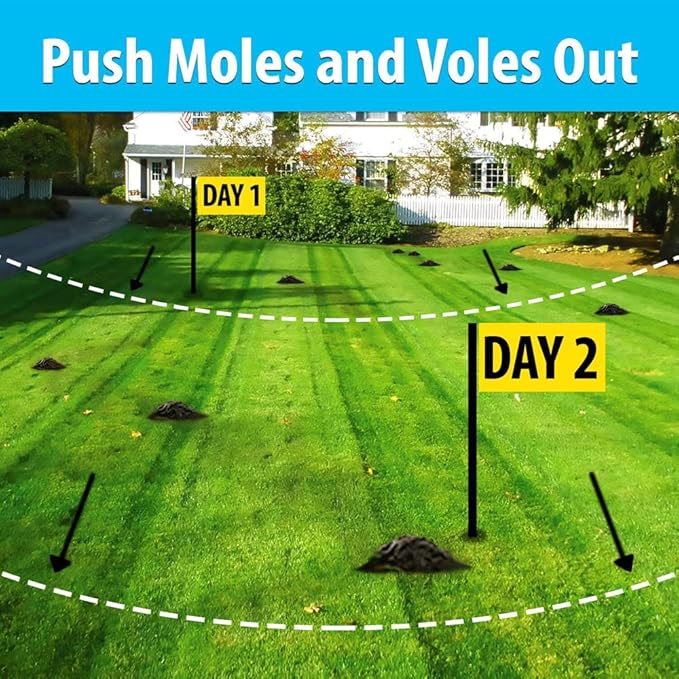 Nature's MACE Mole and Vole MACE Mole Deterrent for Yard Mole Repellent for Lawns Keep Moles Out of Garden Castor Oil Granules Vole Repellent Outdoor Plant &amp Pet Safe 22 lb Bag 17600 Sq F