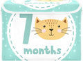 7_months Storage Box with Lid Collapsible Bed Storage Qt Storage Container for Home Studyroom Home Decor