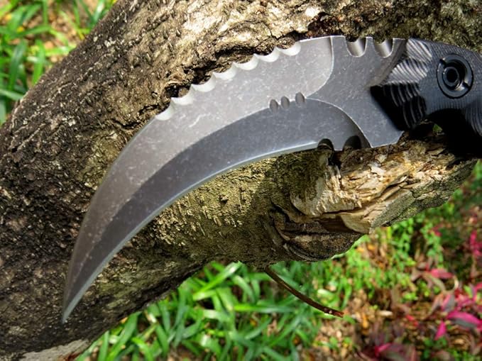 Ccanku C1691 Fixed Blade Knife D2 Steel G10 Handle 4 InchesOutdoor Claw KnifeCamping EDC Tools Kydex Sheaths … …