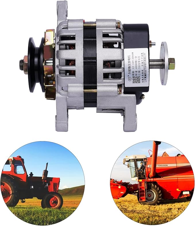 2000W PMA Permanent Magnet Generator DC Brushless Low Rpm Alternator Double Wheel Generator Agriculture (12V/ Double Wheel)