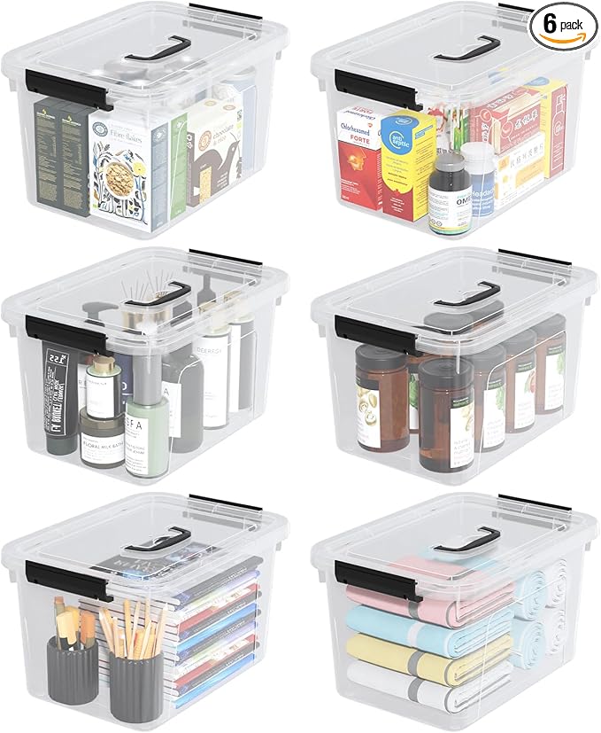 10 Liters Clear Plastic Storage Boxes with Lids Small Containers Bins with Lids and Handles Set of 6