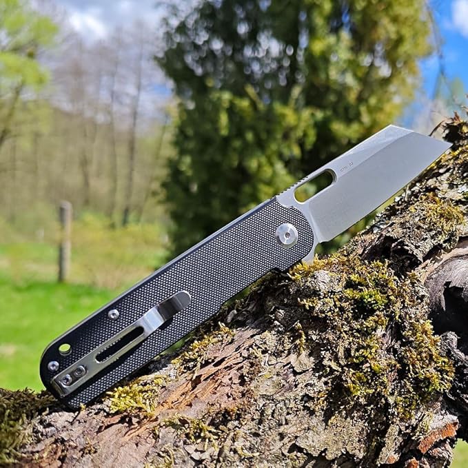 Ganzo G770-GR EDC Folding Pocket Knife Razor Sharp D2 Stainless Steel Blade G10 Handle with Clip Outdoor Foldable Not Automatic Knife Hunting Fishing Hiking Gear Best Gift for Men (Green)