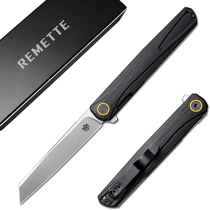 REMETTE EDC Pocket Knife Canyon 3.2 D2 Steel Tanto Blade G10 Handle Small Folding Knife with Pocket Clip for Men Women Sharp Camping Hiking Knives (Silver)