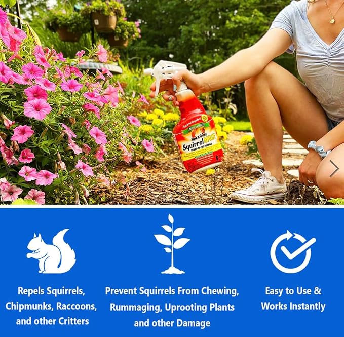 Nature's Mace Squirrel Repellent for Outdoors Chipmunk Deterrent for Attic Garden Car Keep Out of Garden Bird Feeders Fruit Trees Yard Plants (1 Gallon Ready-to-Use)