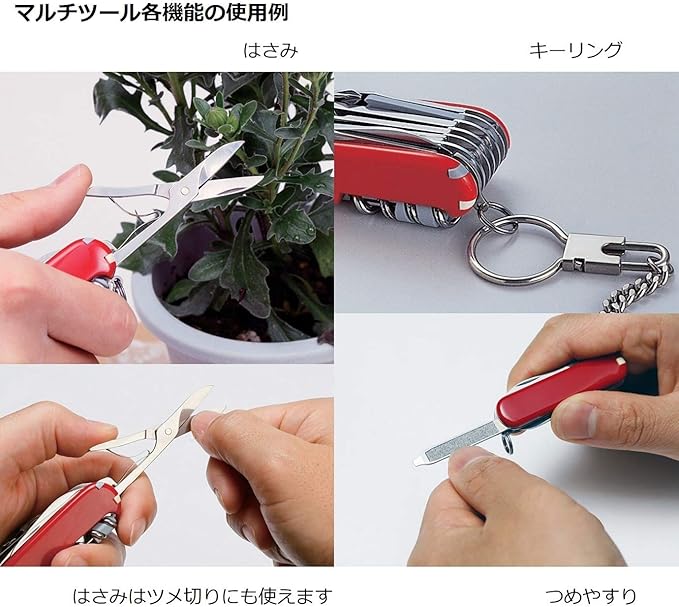 Victorinox Classic SD 2021 Limited Ocean Life 0.6223.L2108