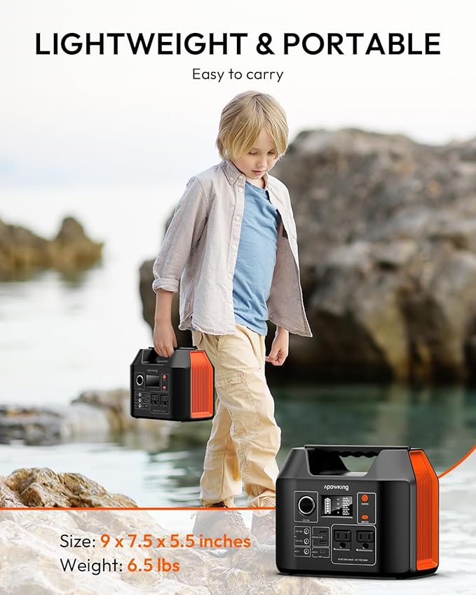 Solar Powered Generator 300W Portable Power Station with Solar Panel 40W Included 110V Pure Sine Wave 256Wh LiFePO4 Battery Pack with AC Outlet for Camping Home Emergency Traveling RV Trip