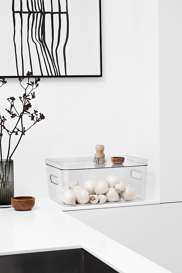SmartStore - Compact Clear Storage Box L Lid - Transparent