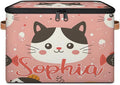 Custom Storage Basket with Name Personalized Storage Bins with Zipper Lid Foldable Fabric Storage Box Large capacity with Handle Cat Pink