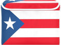 Puerto Rico Flag Puerto Rican National Red Storage Containers with Lids Foldable Box Organizer Extra Large Storage for