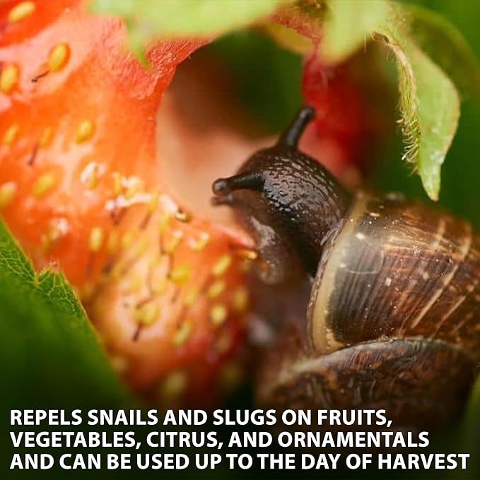 Monterey All Natural Snail &amp Slug Spray for Organic Gardening RTU 32 oz