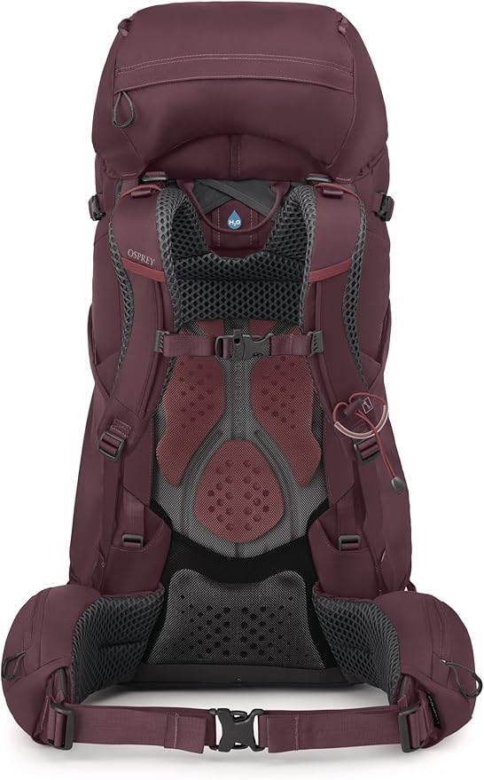 Osprey Kyte 58L Women's Backpacking Backpack with Hipbelt Elderberry Purple WM/L