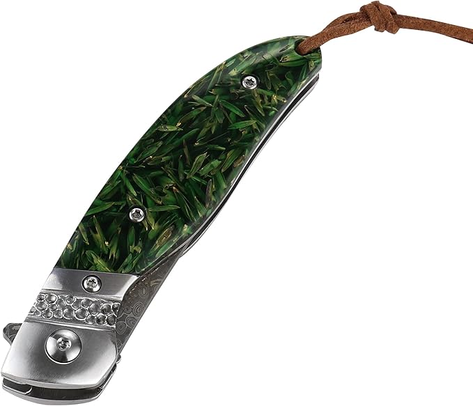 ALBATROSS Damascus Folding Pocket Knife - Premium EDC with VG10 Steel Blade Green Synthetic Handle Ball Bearing Assisted Opening Liner Lock for Outdoor Hunting Camping - Great Gift for Men - HGDK