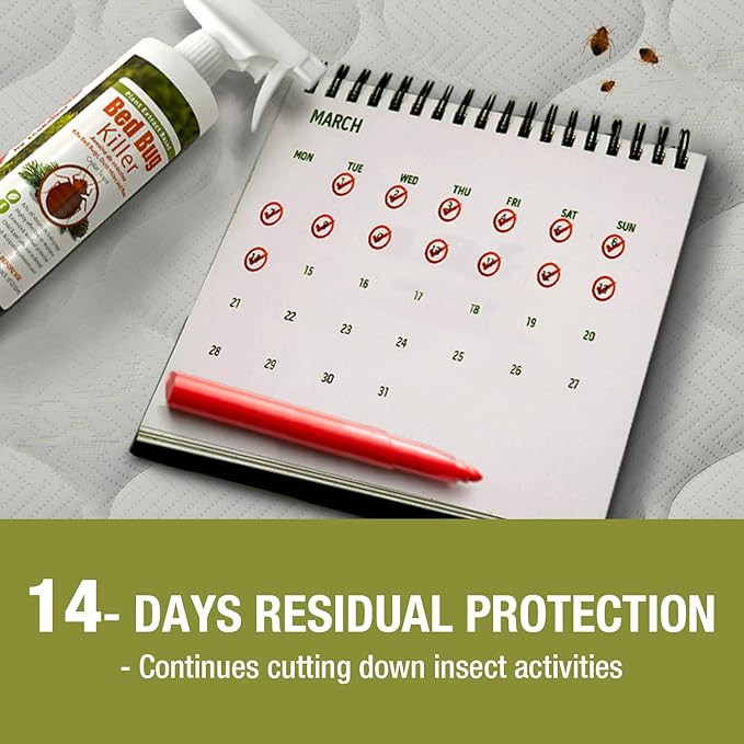 EcoVenger Bed Bug Killer Bundle – 2×1 Gallon + 1 Remote Sprayer 100% Kill on Contact Kills Eggs &amp Resistant Strains 14-Day Residual Protection Non-Toxic Child &amp Pet Friendly
