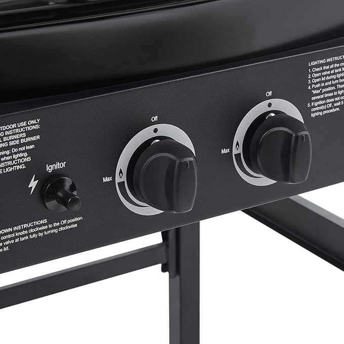 2-Burner Propane Gas BBQ Grill with Side Burner 24000 BTU Stainless Steel Barbecue Grill with Cast Iron Grates and Side Table for Outdoor Cooking Kitchen Patio