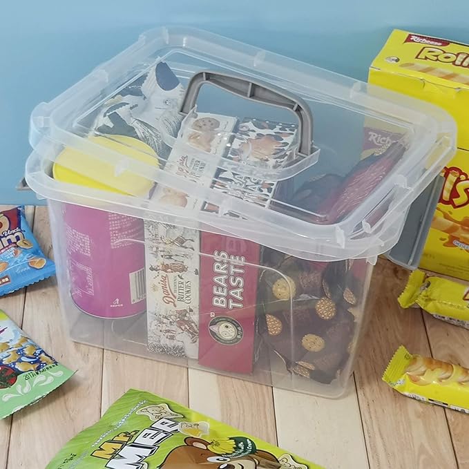 5 Quart Storage Box with Lid 6 Packs Small Plastic Box Tote Bin