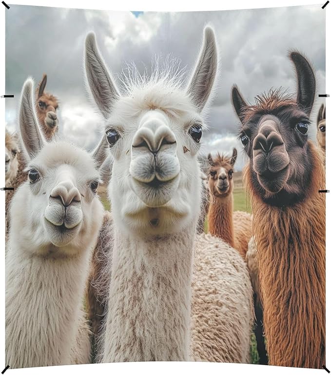 ALAZA Alpaca Llamas Staring Beach Tent Sun Shelter UPF50+ Protection Beach Shade Canopy w/ 4 Sandbags for Outdoor Camping Fishing Backyard Fun Picnic 10x9 ft