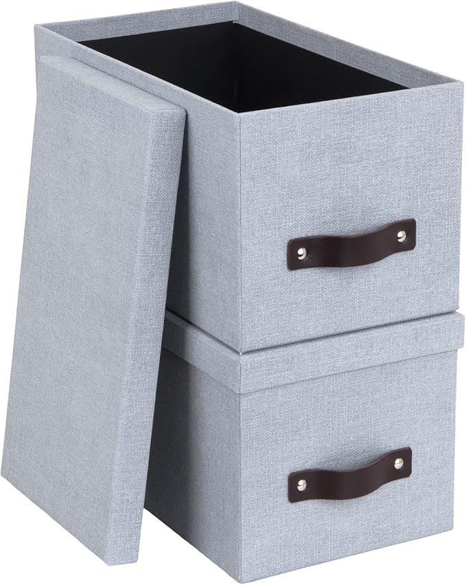 Bigso Box of Sweden Silvia Organizational Storage Box with Leather Handle for Shelves and Stacks Easily | Durable and Decorative Storage Boxes with Lids | 11.8 x 6.5 x 11.6 | 2 Pack | Ash