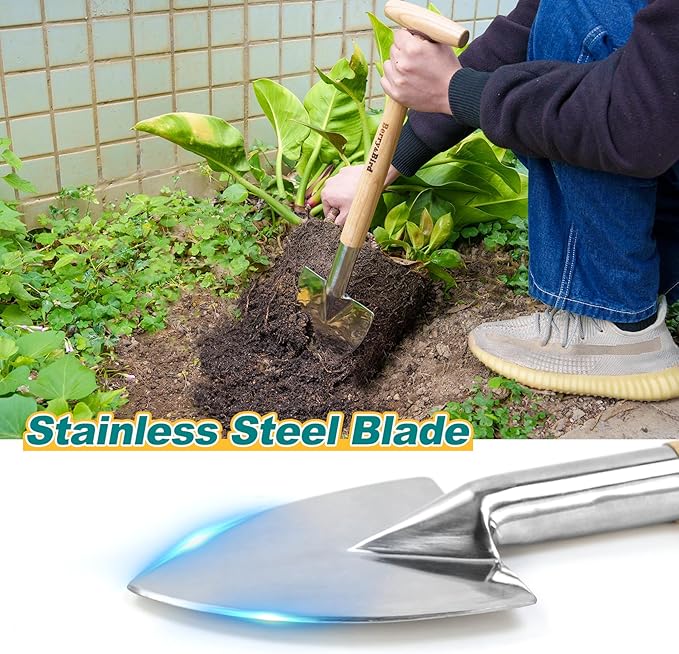 Berry&ampBird Perennial Spade 21.6''Long Trowel for Gardening Root Cutting Tool with Sharp Stainless Steel Blade Wooden Handle Small Shovel Hand Edger Garden Tool for Planting Digging &amp Transp