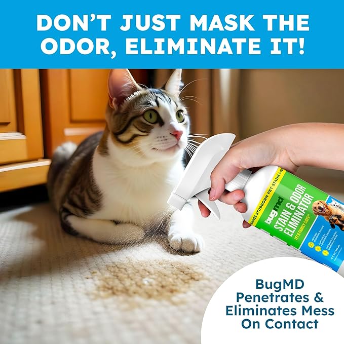 BugMD Essential Pest Control Starter Kit + BugMD Pet Odor &amp Stain Remover – Natural Pest Control + Family &amp Pet Safe Enzyme Cleaner – Kill Ants Roaches Spiders &amp Eliminate Pet Stains &am