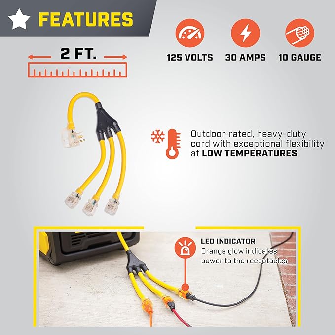 Champion Power Equipment 2 ft. 30A 125V Generator Adapter Cord