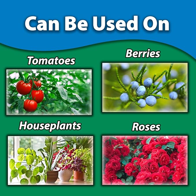 Monterey Neem Oil RTU – 32oz Fungicide/Insecticide/Miticide – Controls Black Spot Powdery Mildew Rust Spider Mites Aphids and More – Bunded with Garden Measure Spoon