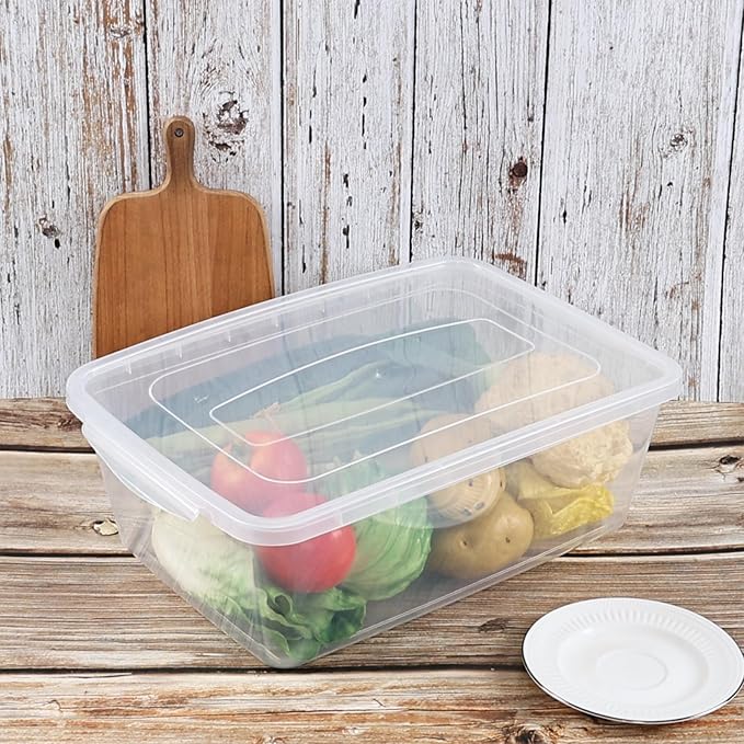 Inhouse 16 Quart Clear Latching Storage Bin Set of 2 Shoe Organizing Box