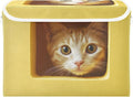 Storage Cube with Lid Curious Cat Print 16.5×12.6×11.8 IN Collapsible Large Capacity Foldable Storage Basket Bin Organizer