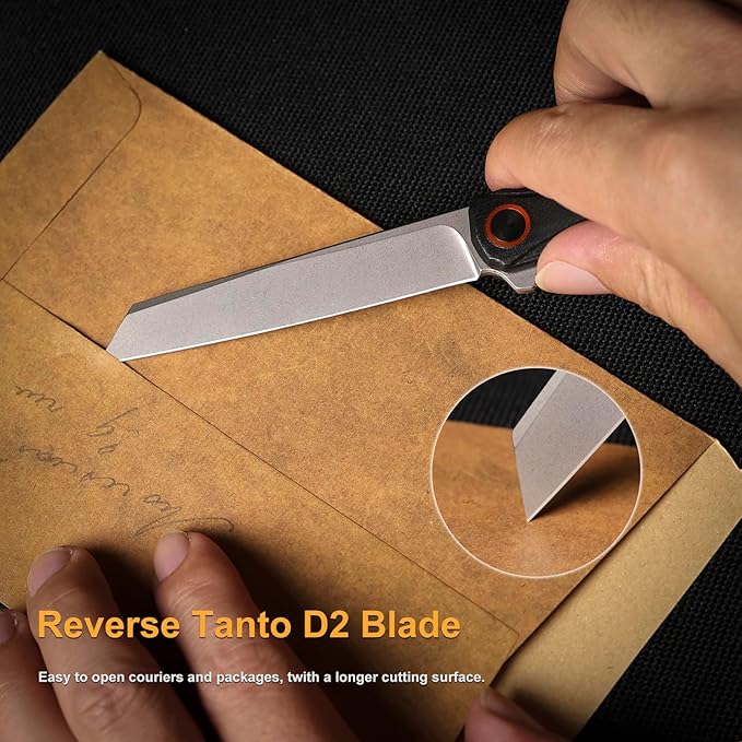 REMETTE EDC Pocket Knife Canyon 3.2 D2 Steel Tanto Blade G10 Handle Small Folding Knife with Pocket Clip for Men Women Sharp Camping Hiking Knives (Silver)