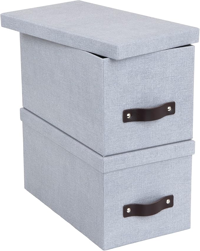 Bigso Box of Sweden Silvia Organizational Storage Box with Leather Handle for Shelves and Stacks Easily | Durable and Decorative Storage Boxes with Lids | 11.8 x 6.5 x 11.6 | 2 Pack | Ash