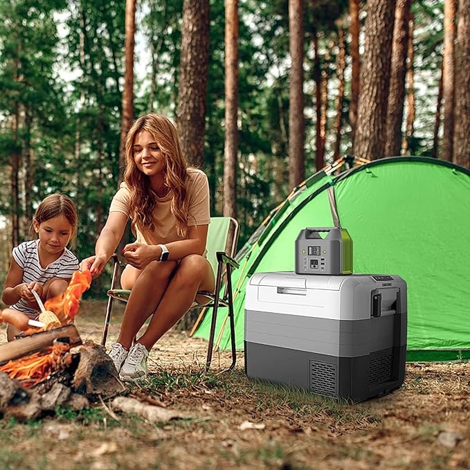 EnginStar Portable Power Station 150W 155Wh Power Bank with 110V AC Outlet 6 Outputs External Battery Pack Portable Backup Battery Laptop Charger with LED Light for Home Camping