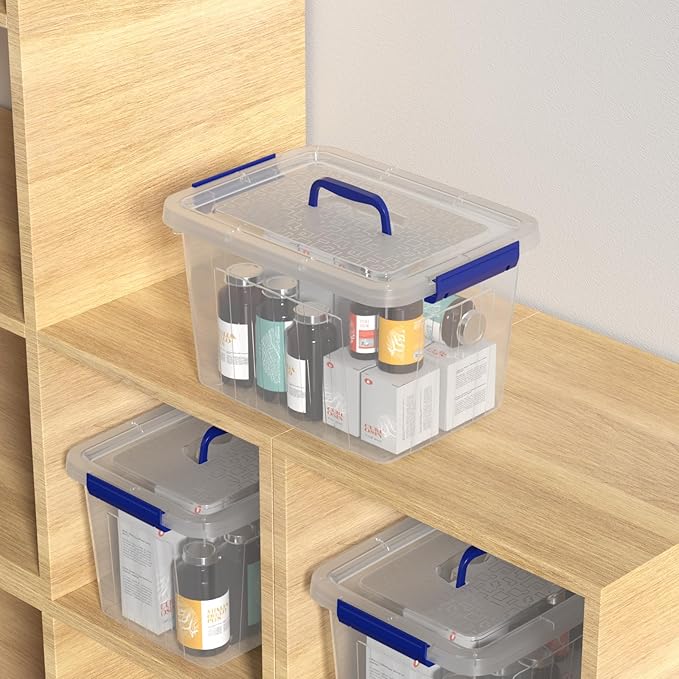Vababa 4-Pack 10 L Clear Plastic Latch Storage Boxes with Lids