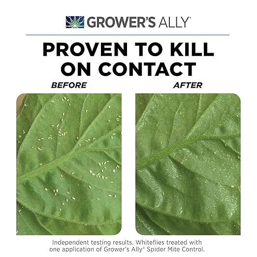 Grower's Ally Spider Mite Control Concentrate - Natural Insecticide &amp Spider Mites Killer for Plants Indoor &amp Outdoor - OMRI Listed Garden Pest Control - Bee Pet &amp Kid Safe - 1 Gal Makes