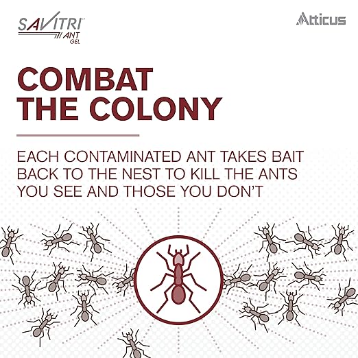 Atticus Talak 7.9% Indoor Outdoor Insect Control (32 Ounce) with Savitri Ant Gel Bait (4 x 30 Grams)