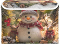 Christmas Snowman Deer Collapsible Storage Bins with Lids Decorative Fabric Storage Cubes Closet Organizer and Storage Basket Boxes Containers for Clothes Box Chest Folding Rectangle
