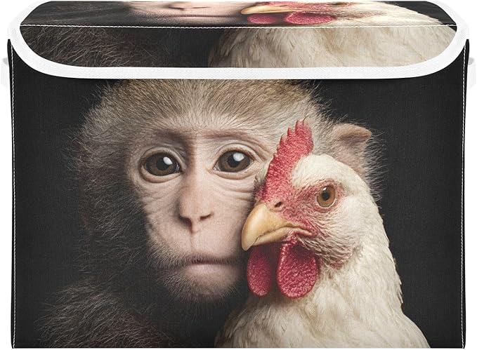 Monkey Rooster Print Storage Basket Bins with Lid Foldable Flip-top with Handle for Home Office 16.5×12.6×11.8 in 1 Pack