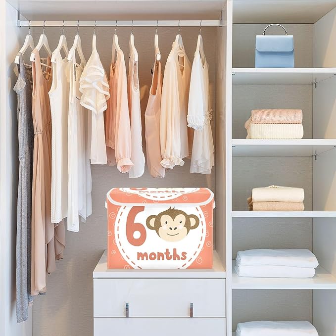 6_months Storage Bins with Lids Foldable Organizer Storage Storage Box with Lids for School Supply Dormroom Storage