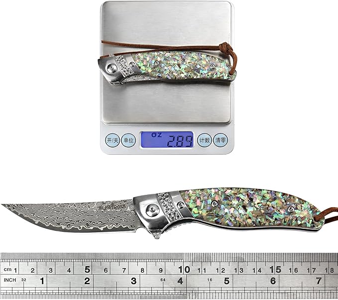ALBATROSS Premium Damascus Pocket Knife - EDC Folding Knife with Abalone Shell Handle Ball Bearing Opening Liner Lock System - Everyday Carry for Outdoor Hunting Collection - HGDK028-AS