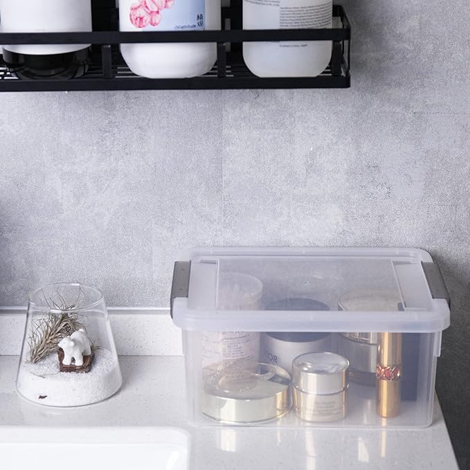 Anywish Small Storage Bins with Lids 3.2 QT Plastic Storage Containers for Organizing Stackable Clear Storage BoxesClear White(6 Packs)
