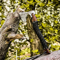 18.5 Inches Length || Hand Forged Viking Axe || Bearded Axe || Carbon Steel || Wood Handle || Throwing Axe || Display Axe || Outdoor Tool || Historical Axe || Viking Inspiried Design || Gift.