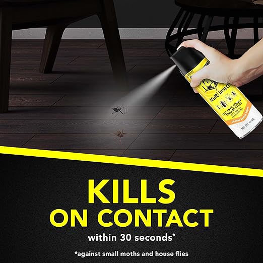 Raid Multi Insect Killer Aerosol Kills Ants Spiders Roaches and Flies No Lingering Chemical Odor Indoor and Outdoor Use 15 Ounce (Pack of 2)