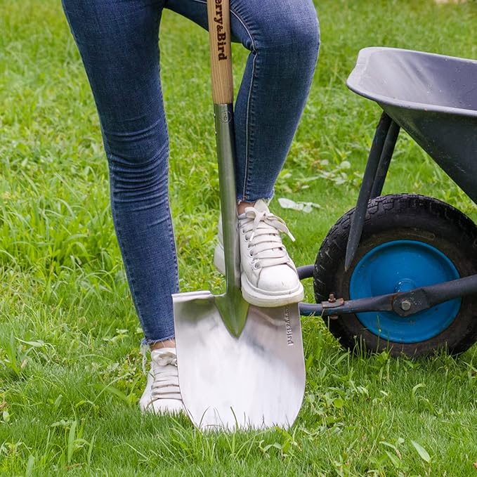 Berry&ampBird Round Point Gardening Shovel with Wood D-Handle 40.98 Stainless Steel Beach &amp Snow Shovel