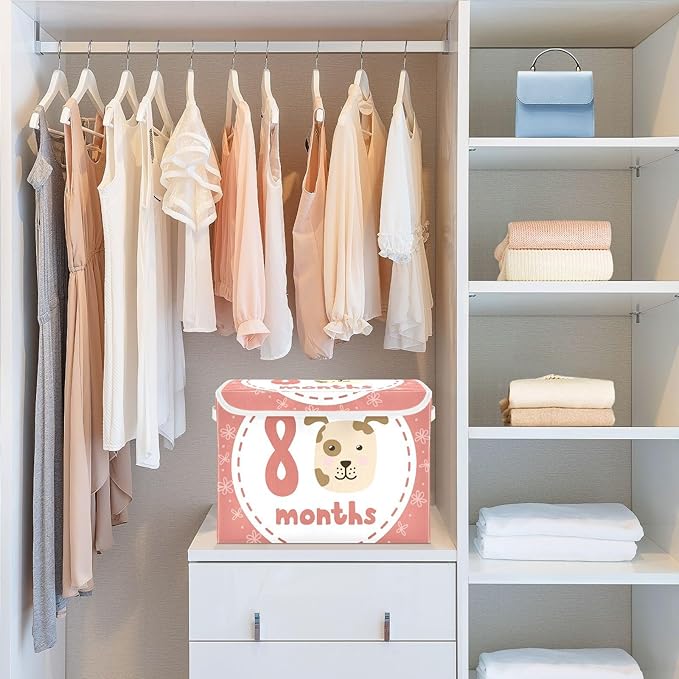8_months Storage Bins with Lids Collapsible Shoebox Storage Large Storage Bins with Lids for Office Supplies Office
