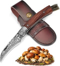 DRACHENADER Mushroom Knife with Brush Folding Foraging Knife with VG10 Damascus Steel Blade Curved Blade Mushroom Harvesting Knives with Leather Sheath for Camping